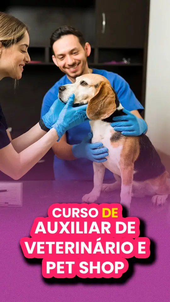 auxiliar de veterinario (1)
